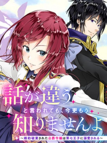 話が違うと言われても、今更もう知りませんよ ～婚約破棄された公爵令嬢は第七王子に溺愛される～